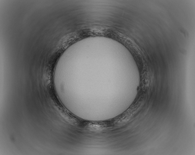 X0000112010706200908311134