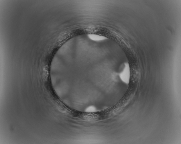 X0000112010707200908311134