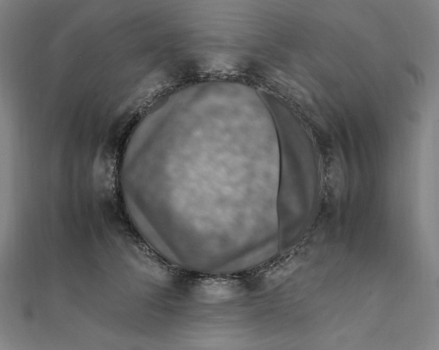 X0000112010708200908311134