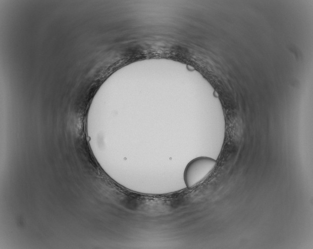 X0000112010709200908311134