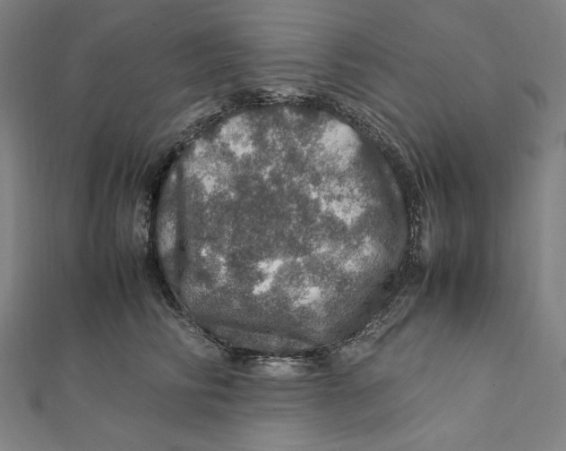 X0000112010710200908311134