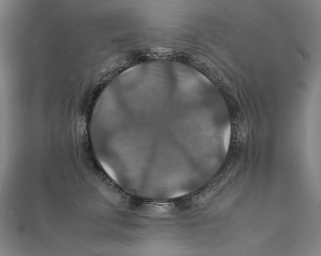 X0000112010711200908311134