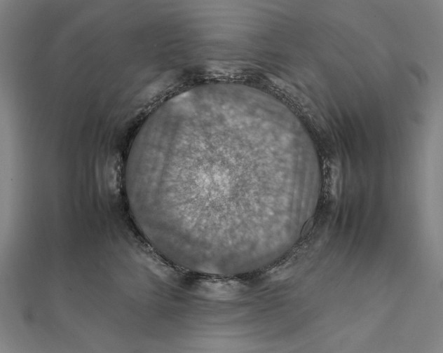 X0000112010712200908311134