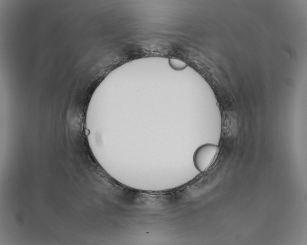 X0000112010713200908311134