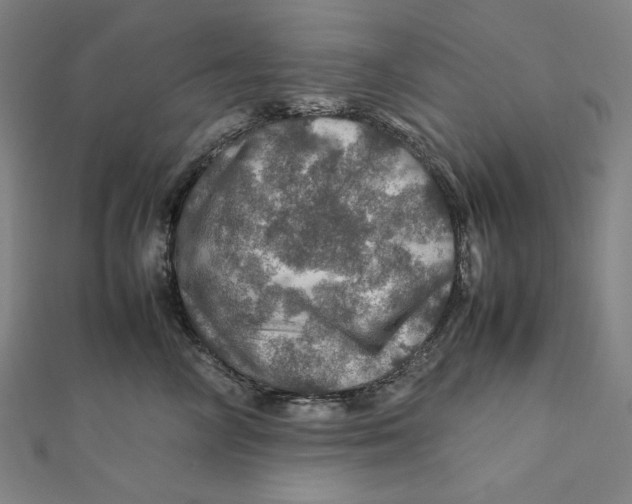 X0000112010714200908311134