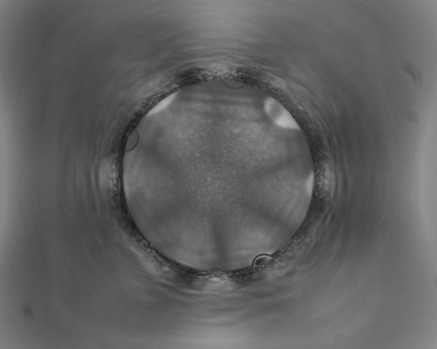 X0000112010715200908311134