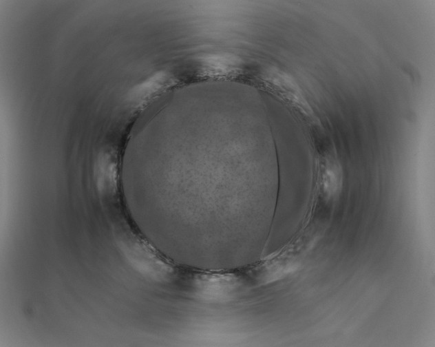 X0000112010716200908311134