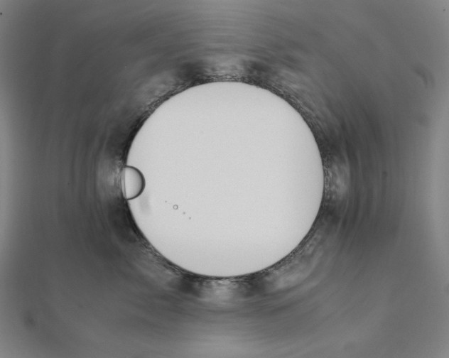 X0000112010717200908311134
