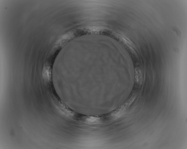X0000112010718200908311134