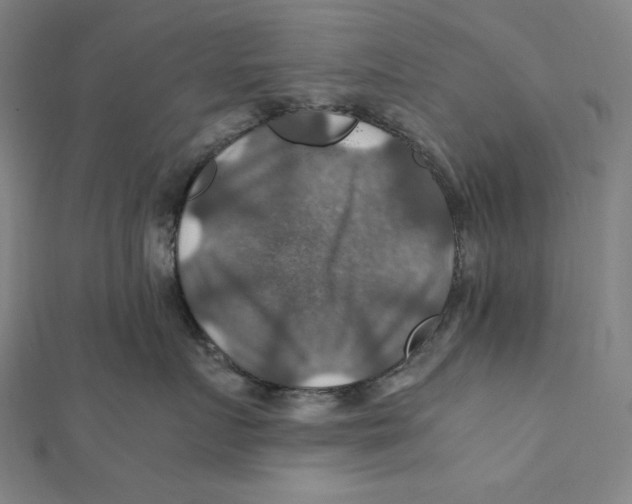 X0000112010719200908311134