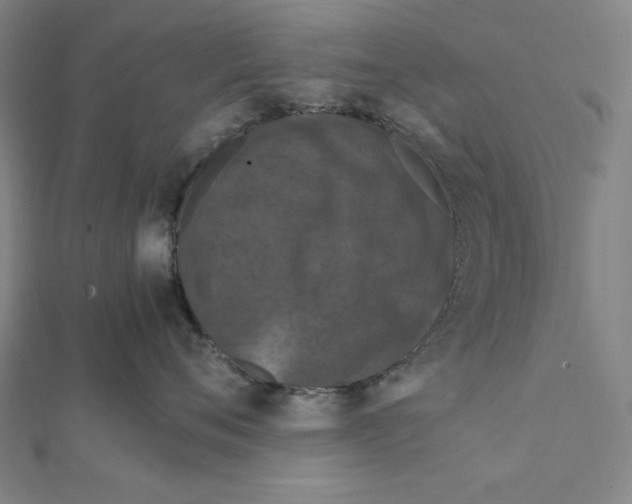 X0000112010720200908311134