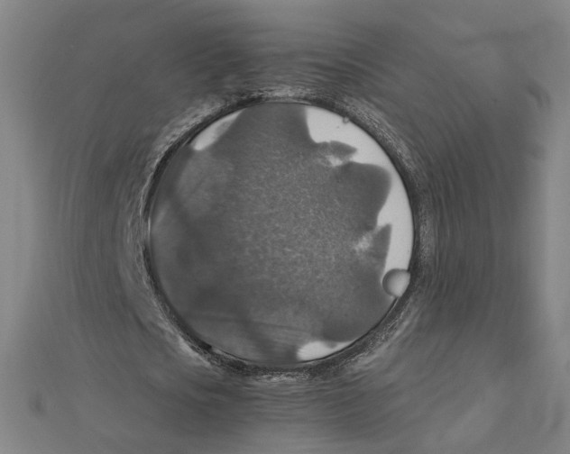 X0000112010721200908311133