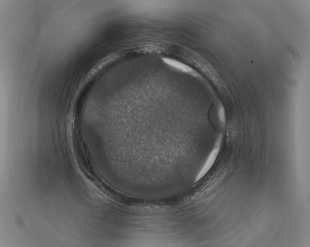 X0000112010722200908311133
