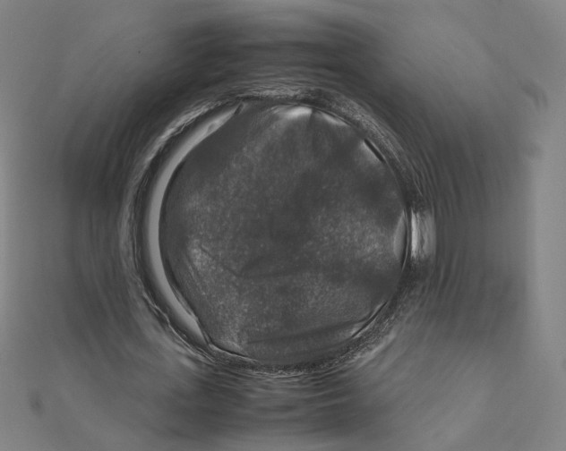 X0000112010723200908311133