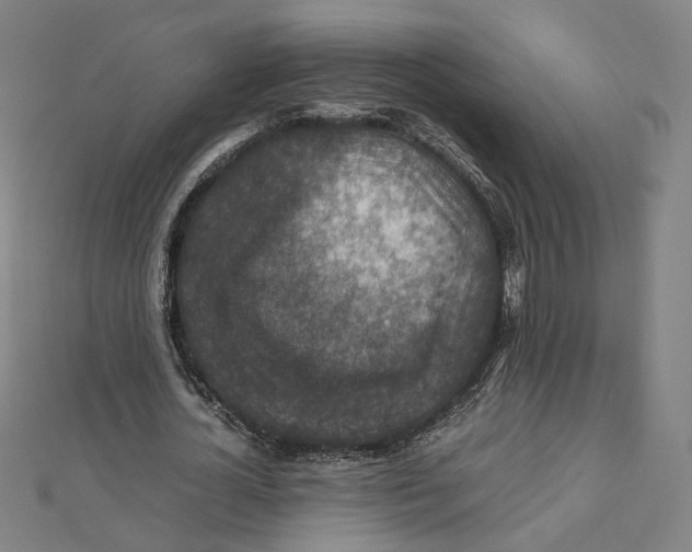 X0000112010724200908311133