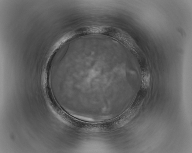 X0000112010726200908311134