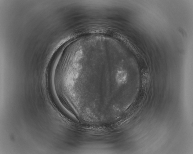 X0000112010727200908311134