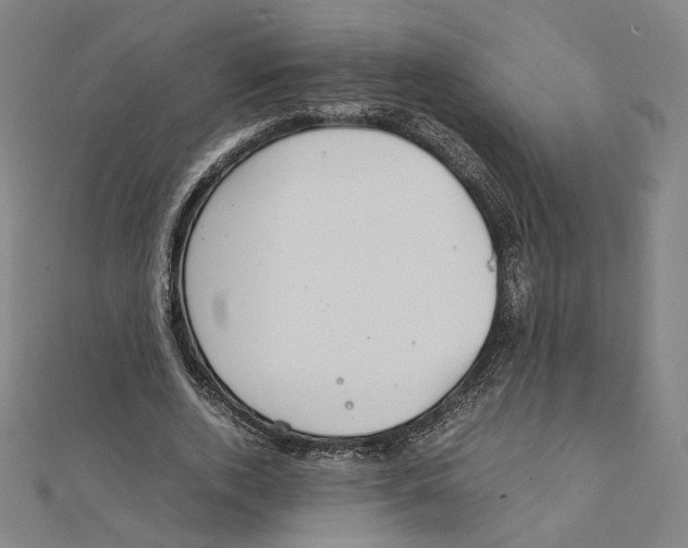 X0000112010728200908311134