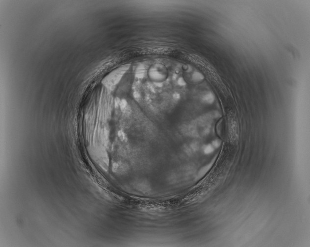 X0000112010729200908311134