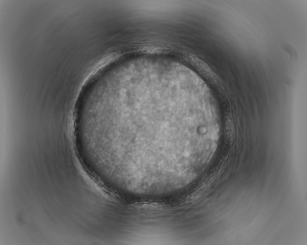 X0000112010730200908311134