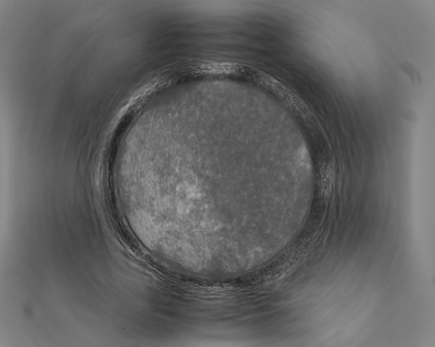 X0000112010731200908311134