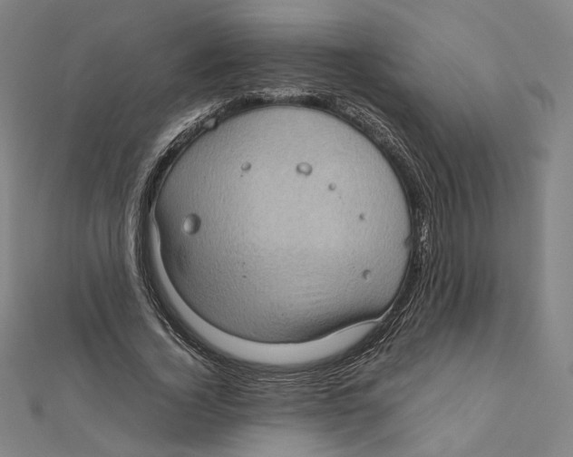 X0000112010732200908311134