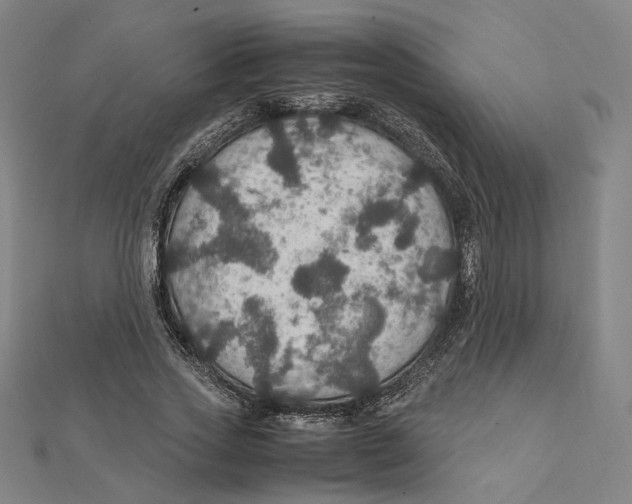 X0000112010733200908311134