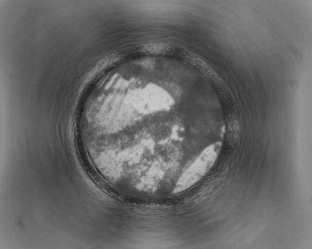 X0000112010734200908311134