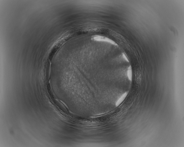X0000112010735200908311134