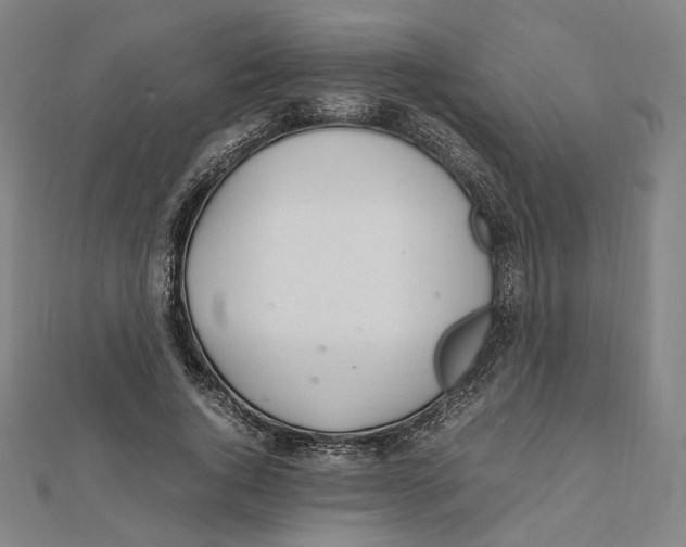 X0000112010736200908311134