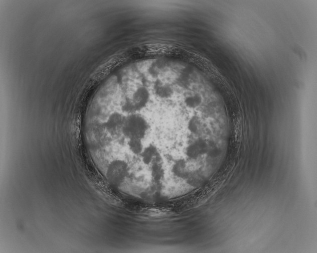 X0000112010737200908311134