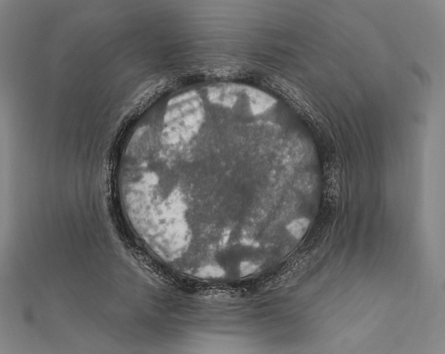 X0000112010738200908311134