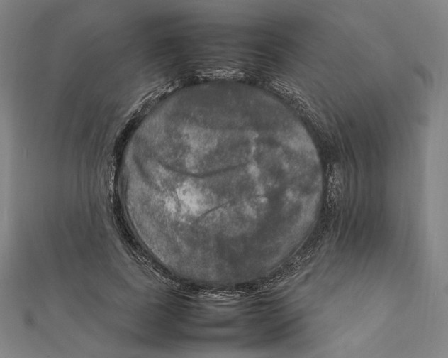 X0000112010739200908311134