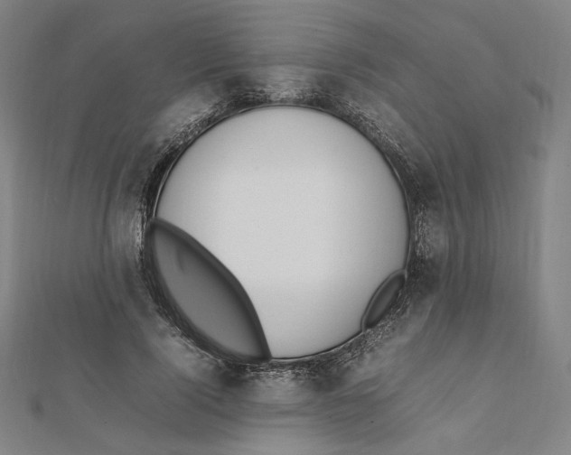 X0000112010740200908311134