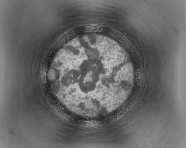 X0000112010741200908311134