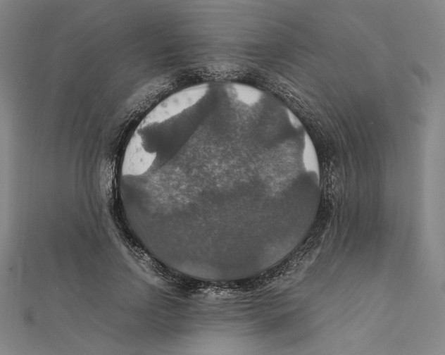 X0000112010742200908311134