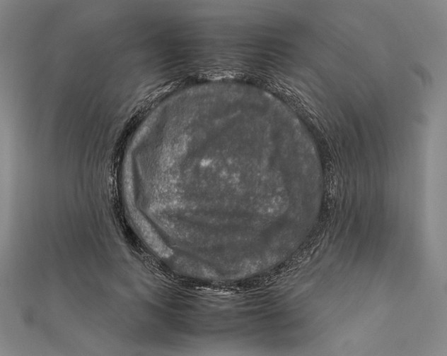 X0000112010743200908311134