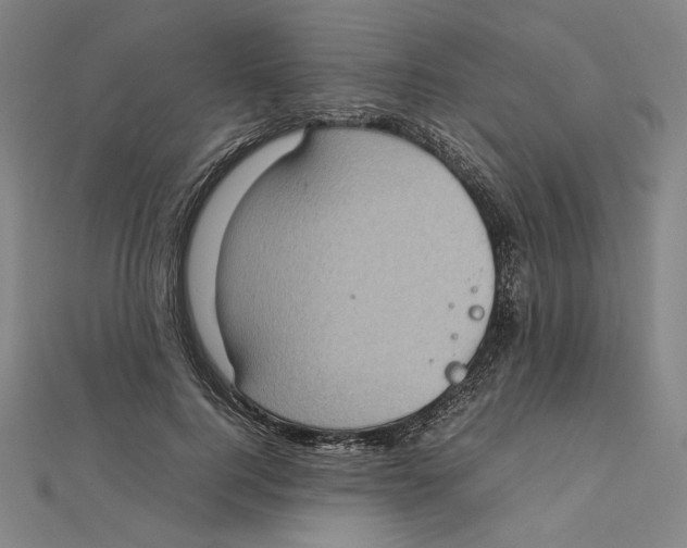 X0000112010744200908311134