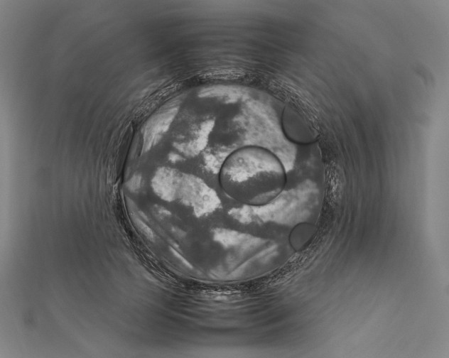 X0000112010745200908311134