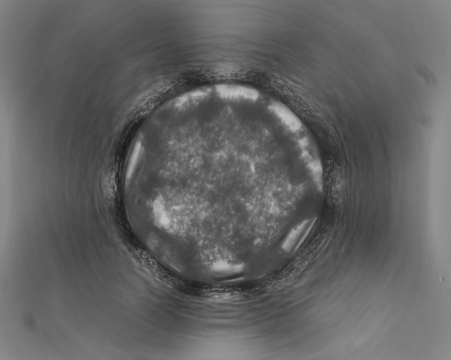 X0000112010746200908311134
