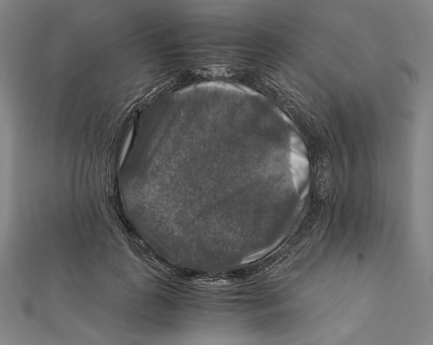 X0000112010747200908311134