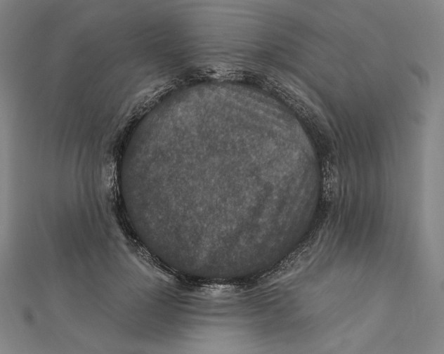 X0000112010748200908311134