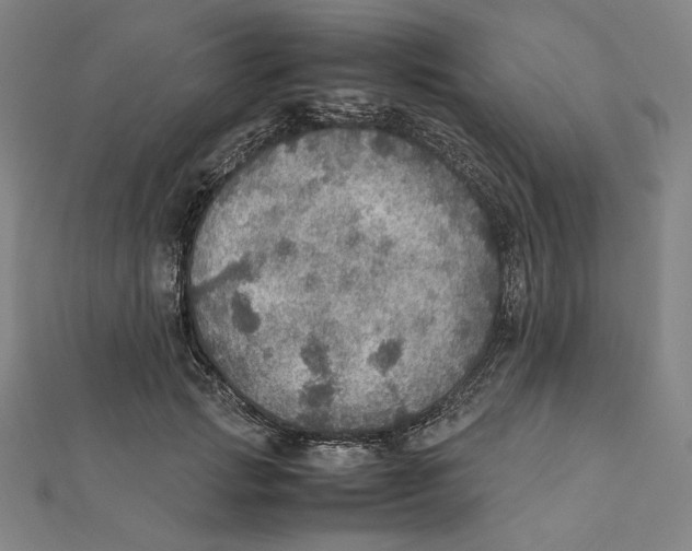 X0000112010749200908311134