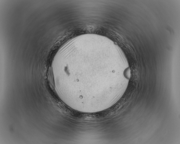 X0000112010750200908311134