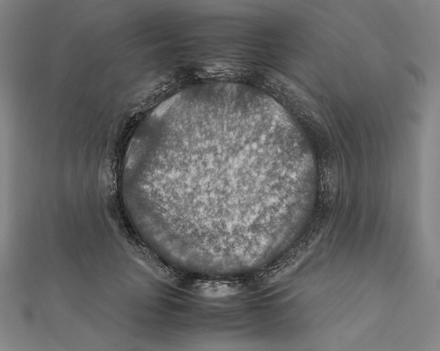 X0000112010751200908311134