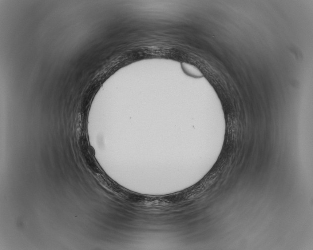 X0000112010752200908311134