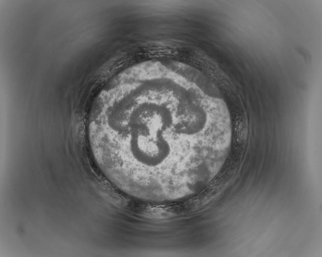 X0000112010753200908311134