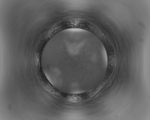X0000112010754200908311134