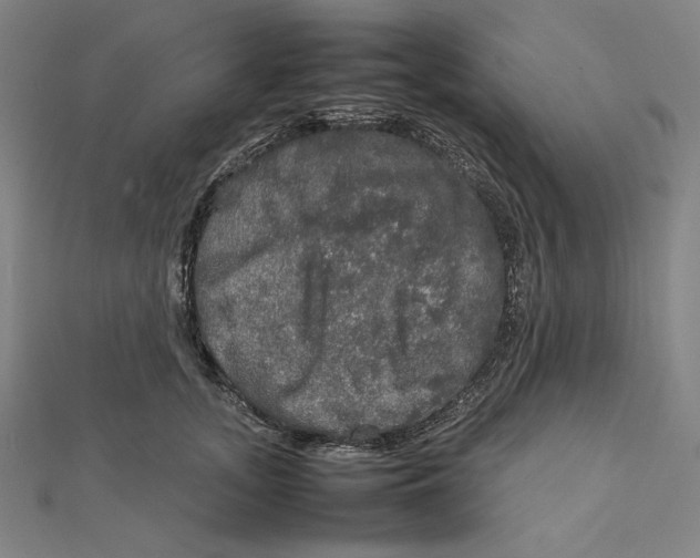 X0000112010755200908311134
