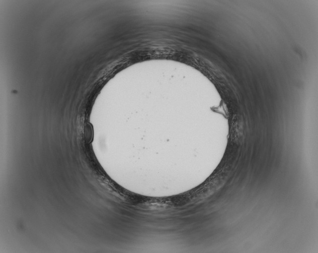 X0000112010756200908311134